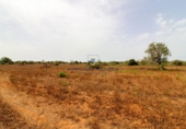 Land suitable for development for sale on Diseminado, Santanyí, ref: TR69028 photo