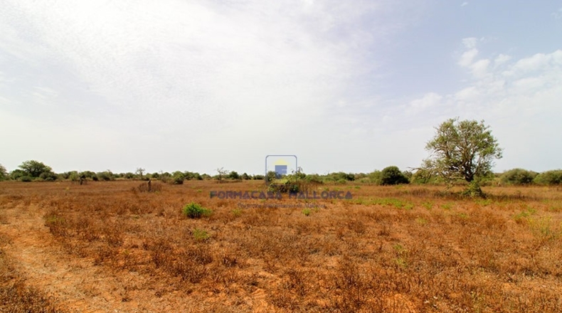 Islas Baleares - Santañy - 17650m2