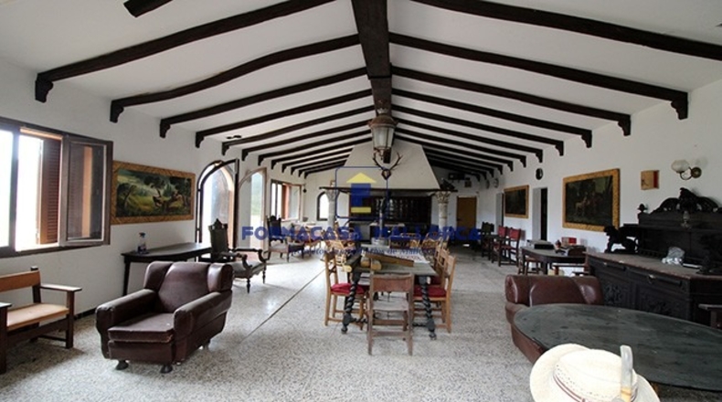 Islas Baleares - Puigpuñent - 18630m2