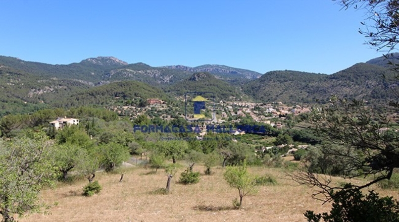 Islas Baleares - Puigpuñent - 18630m2