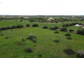 Parcel·la urbanitzable en venda a la Diseminado, Santanyí, ref.: TR69040 foto