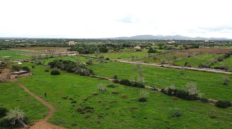 Islas Baleares - Santañy - 15250m2