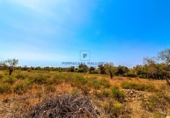 Parcela urbanizable en venta en la Diseminado, Cala Murada, ref: TR69039 foto