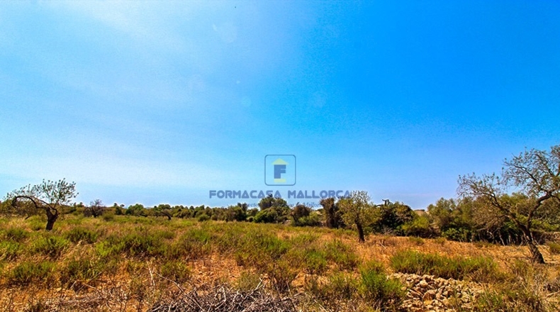 Islas Baleares - Cala Murada - 40800m2