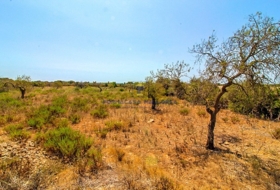 Cala Murada 40800&nbsp;м²