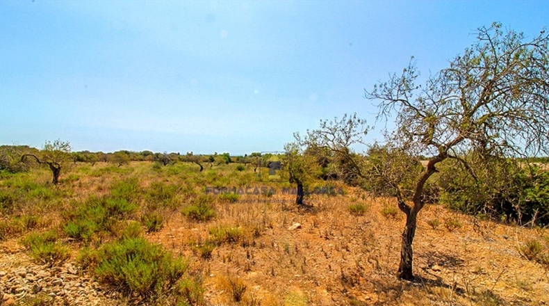 Islas Baleares - Cala Murada - 40800m2