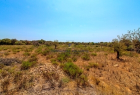 Cala Murada 40800&nbsp;м²
