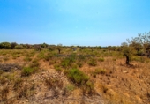 Parcela urbanizable en venta en la Diseminado, Cala Murada, ref: TR69039 foto