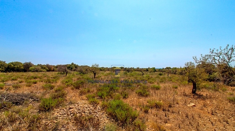 Islas Baleares - Cala Murada - 40800m2