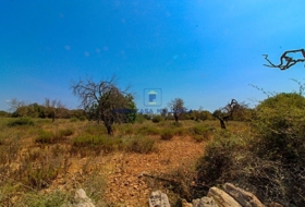 Cala Murada 40800&nbsp;м²