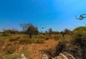 Parcela urbanizable en venta en la Diseminado, Cala Murada, ref: TR69039 foto
