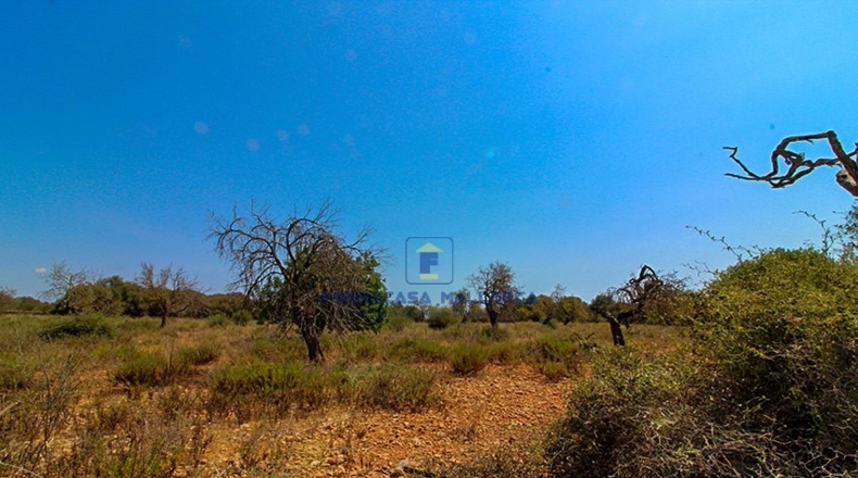 Islas Baleares - Cala Murada - 40800m2