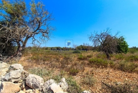 Cala Murada 40800&nbsp;м²