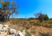 Parcela urbanizable en venta en la Diseminado, Cala Murada, ref: TR69039 foto