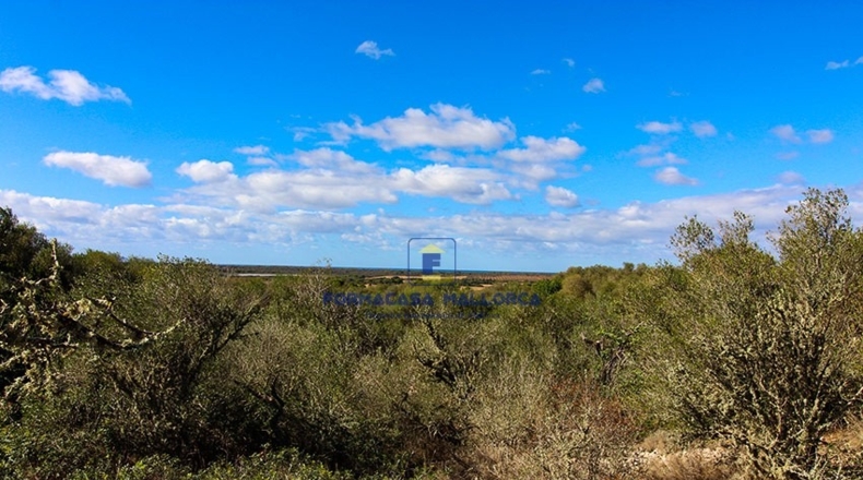 Islas Baleares - Las Salinas - 17000m2