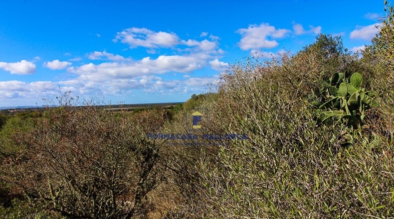 Islas Baleares - Las Salinas - 17000m2