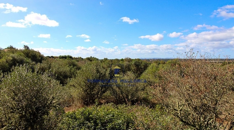 Islas Baleares - Las Salinas - 17000m2