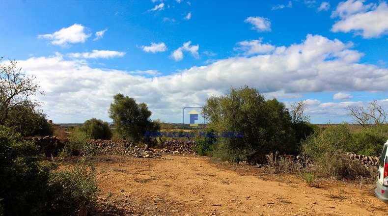 Islas Baleares - Las Salinas - 17000m2