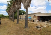 Casa de campo con terreno en venta en la Diseminado, Campos, ref: TR69037 foto