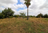 Casa de campo con terreno en venta en la Diseminado, Campos, ref: TR69037 foto