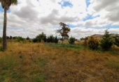 Casa de campo con terreno en venta en la Diseminado, Campos, ref: TR69037 foto