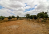 Casa de campo con terreno en venta en la Diseminado, Campos, ref: TR69037 foto