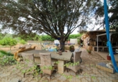 Casa de campo con terreno en venta en la Diseminado, Campos, ref: TR69037 foto