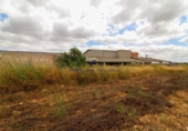 Casa de campo con terreno en venta en la Diseminado, Campos, ref: TR69037 foto