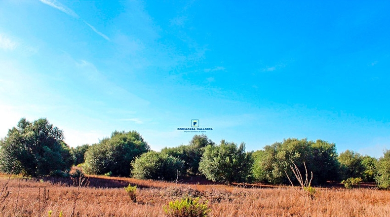 Islas Baleares - Santañy - 16570m2