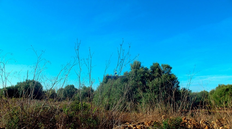 Islas Baleares - Santañy - 16570m2
