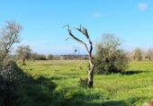Parcela urbanizable en venta en la Diseminado, Felanitx, ref: TR69035 foto