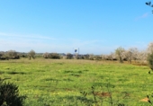 Parcela urbanizable en venta en la Diseminado, Felanitx, ref: TR69035 foto