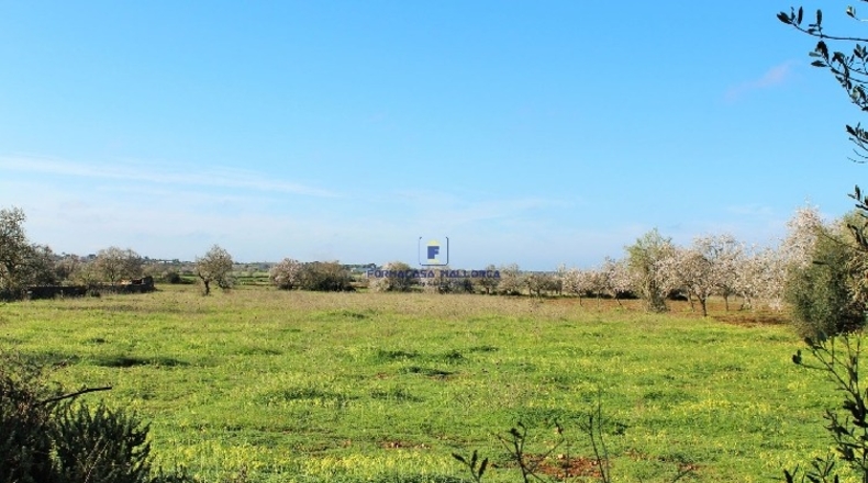 Islas Baleares - Felanitx - 20780m2