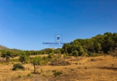 Parcel·la urbanitzable en venda a la Diseminado, Felanitx, ref.: TR69052 foto
