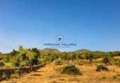 Parcel·la urbanitzable en venda a la Diseminado, Felanitx, ref.: TR69052 foto