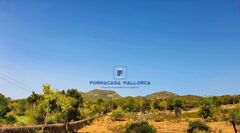 Islas Baleares - Felanitx - 23400m2