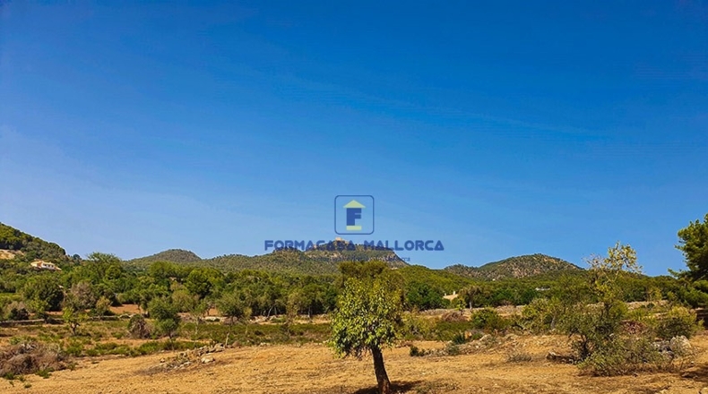 Islas Baleares - Felanitx - 23400m2