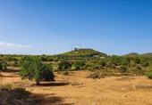 Parcel·la urbanitzable en venda a la Diseminado, Felanitx, ref.: TR69052 foto