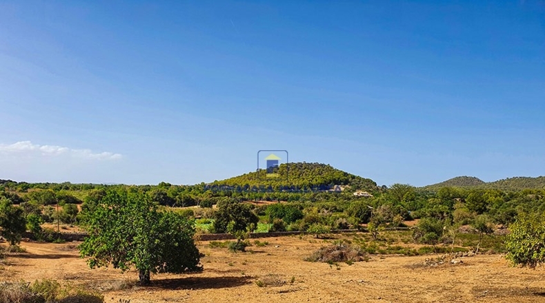 Islas Baleares - Felanitx - 23400m2