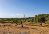 Parcel·la urbanitzable en venda a la Diseminado, Felanitx, ref.: TR69052 foto