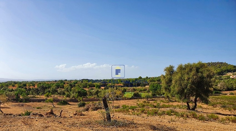 Islas Baleares - Felanitx - 23400m2