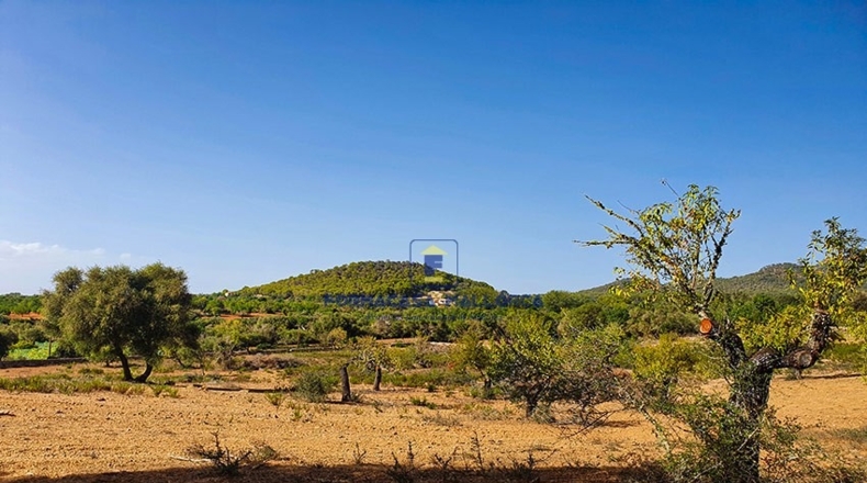 Islas Baleares - Felanitx - 23400m2