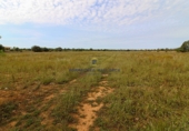 Land suitable for development for sale on Diseminado, Santanyí, ref: TR69049 photo
