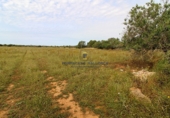Land suitable for development for sale on Diseminado, Santanyí, ref: TR69049 photo