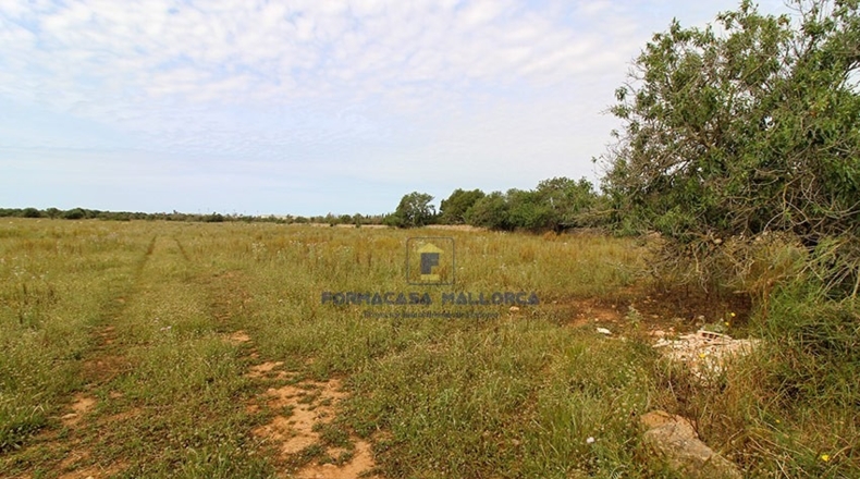 Islas Baleares - Santañy - 27515m2