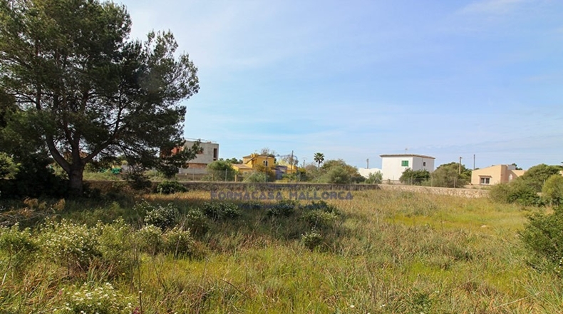 Islas Baleares - Cala Santanyí - 1000m2