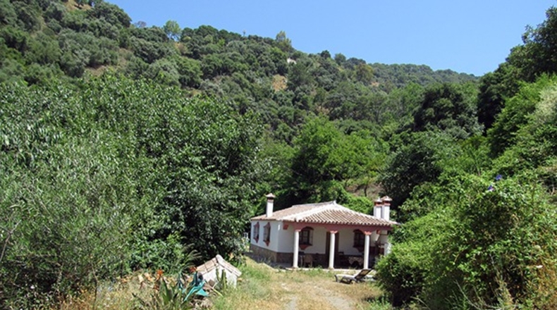 Málaga - Genalguacil - 20000m2