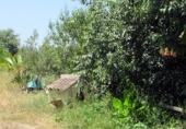 Casa de camp amb terreny en venda a la Genalguacil, ref.: TR69050 foto