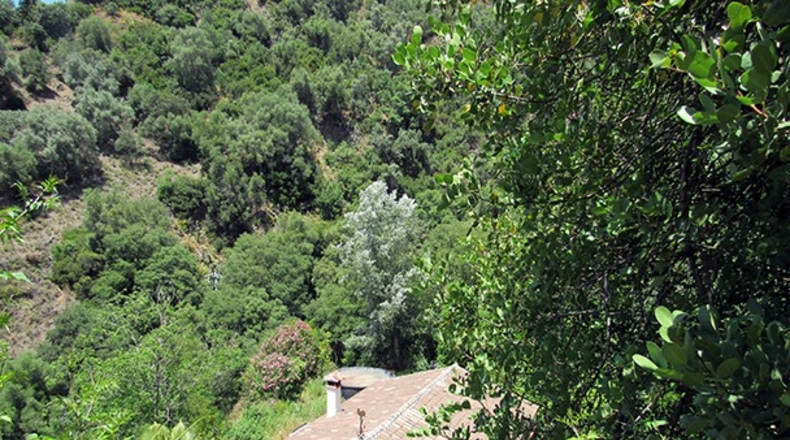 Málaga - Genalguacil - 20000m2