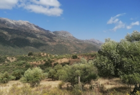 Jimera de Líbar 8000&nbsp;m² 